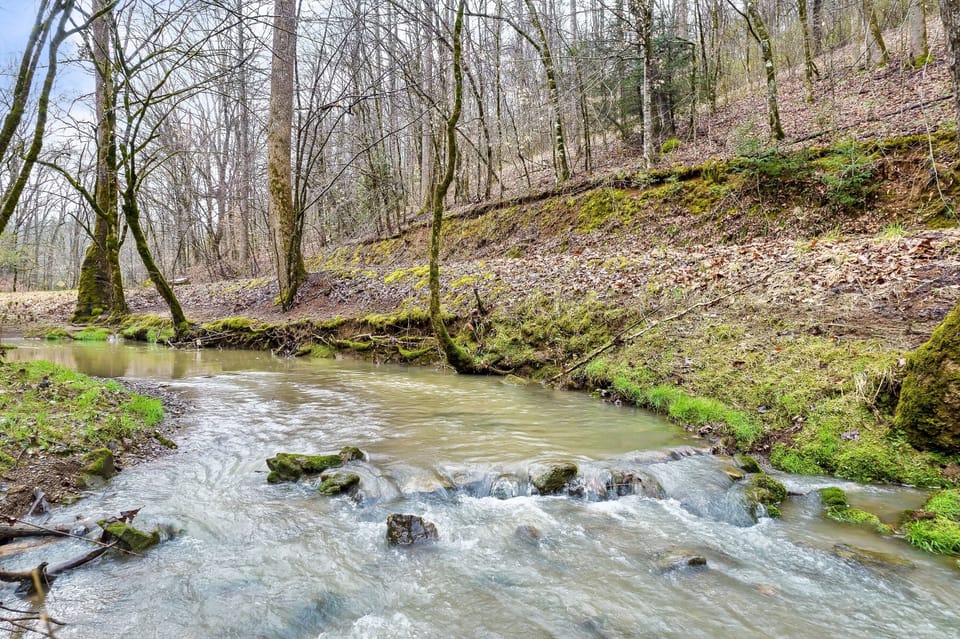 Enjoy the peaceful, relaxing sounds of bubbling water from the creek.