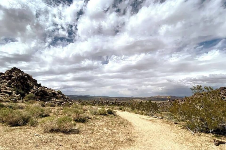 Plenty of trails within walking distance