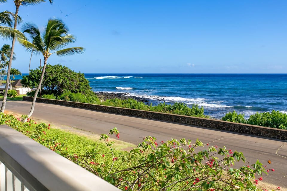 Ocean view (2)