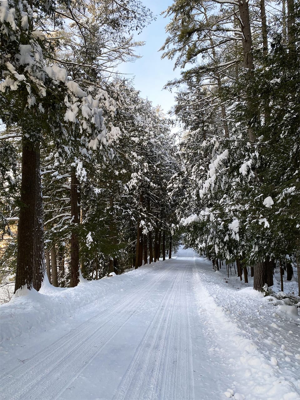 Driveway in the winter