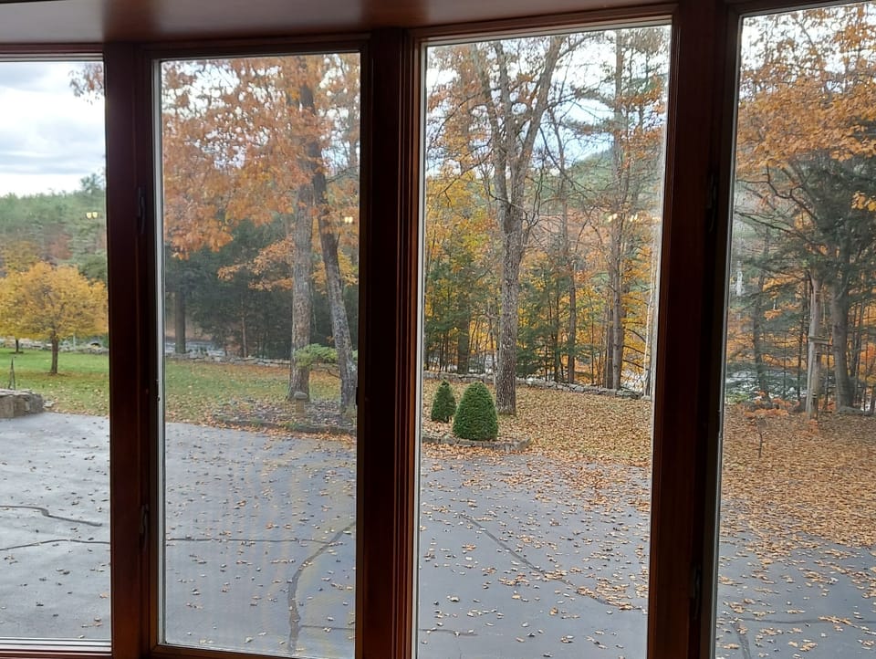 Window View