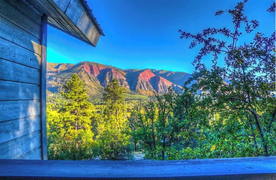 Front Window Views