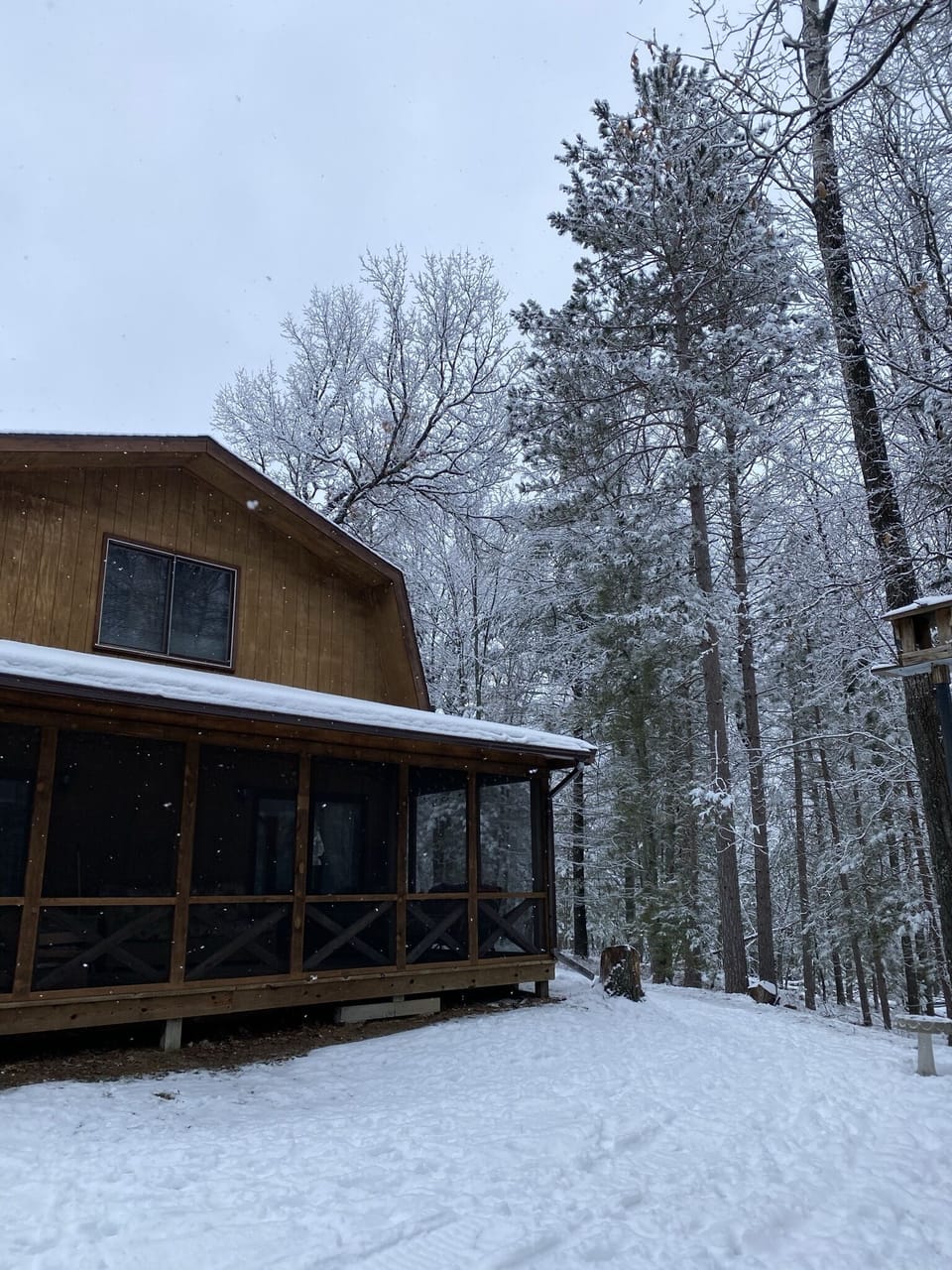 Front view with snow! ❄️