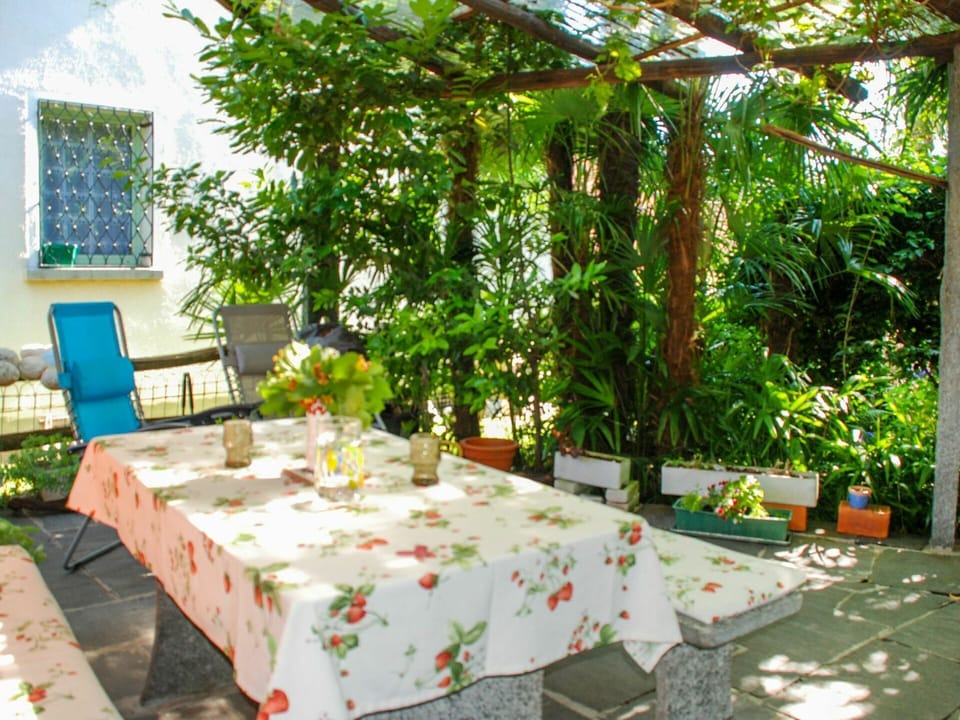 Table, Plant, Furniture, Property, Green, Chair, Nature, Botany, Outdoor Table, Tablecloth