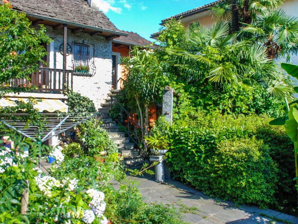 Plant, Building, Property, Window, Flower, Green, Nature, Azure, Botany, House