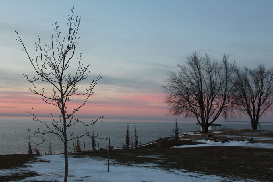 Scenic view from cottage