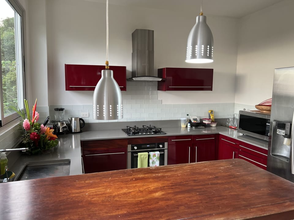 Jaguar kitchen