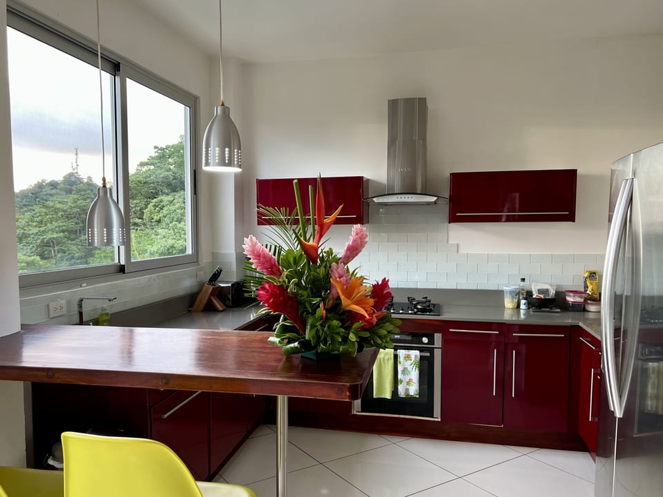 Jaguar kitchen