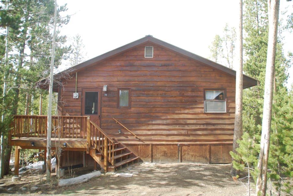 Great Cabin nestled in the trees!