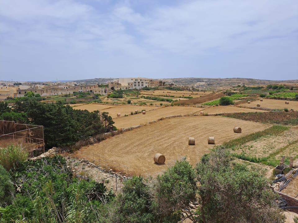View from the kitchen