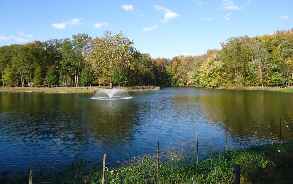 Breathe deep beside the calm lake and gentle fountain spray.