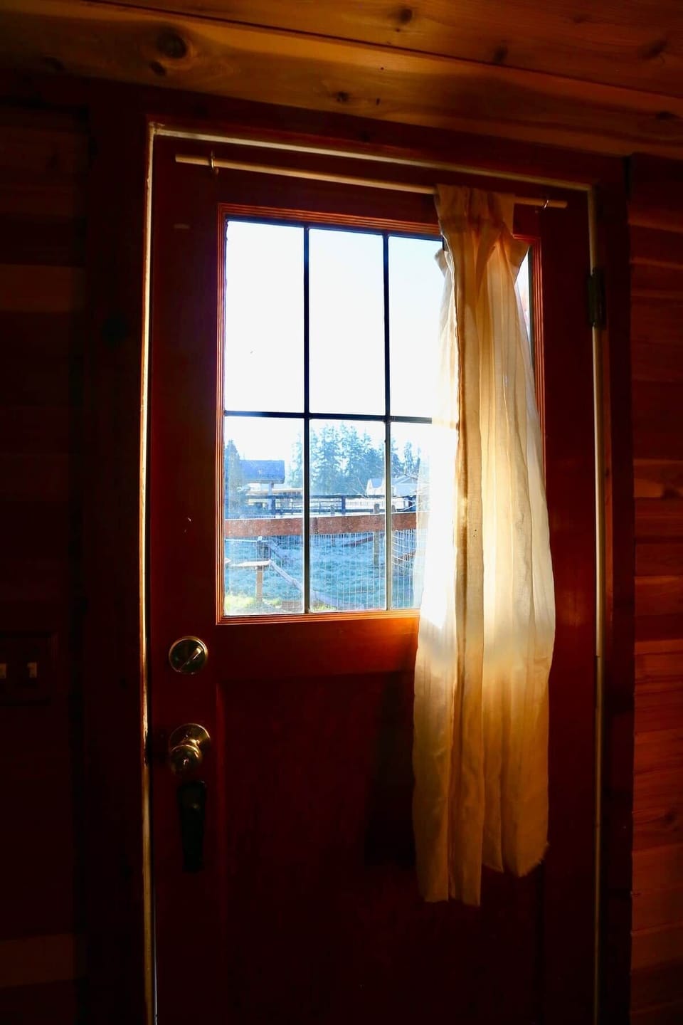 The view out the front door to the baby goat pasture.