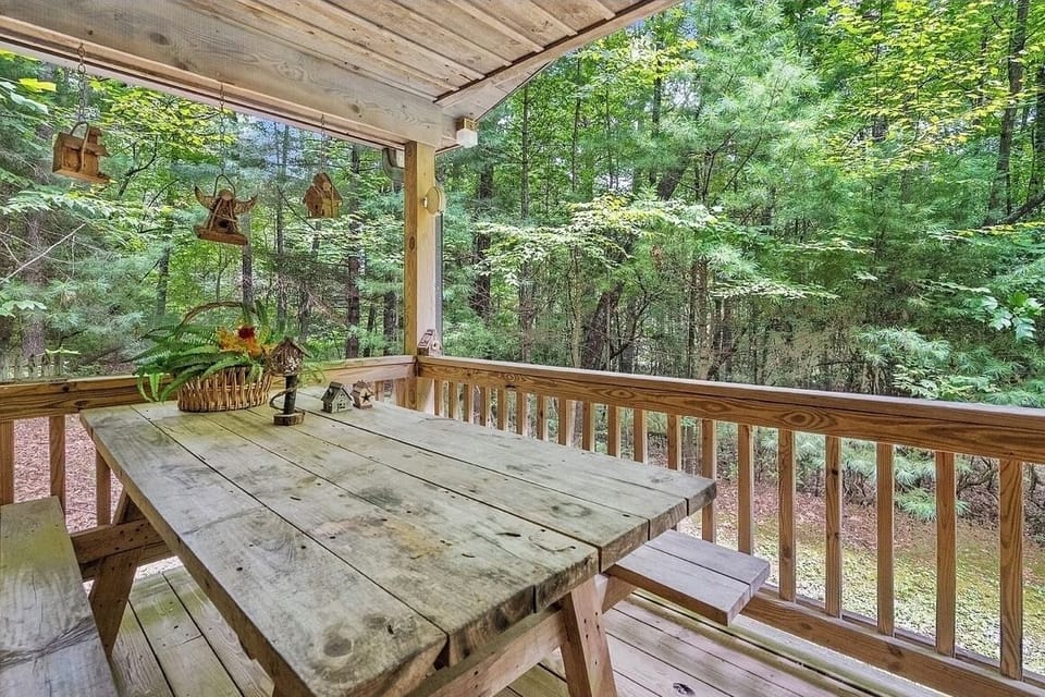 Cabin in Willoughby Woods near Brevard Cabin in Tennessee