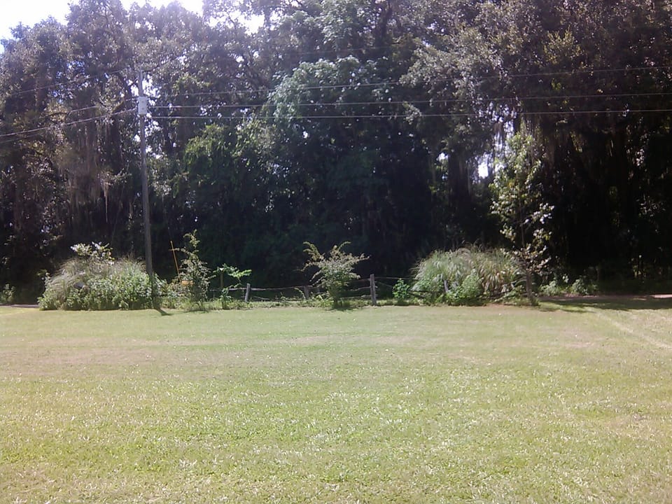 Yard in front of house going out to road