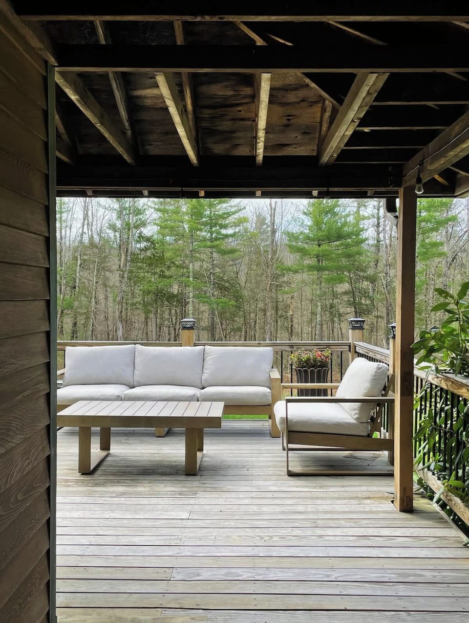 Porch views in early Spring.