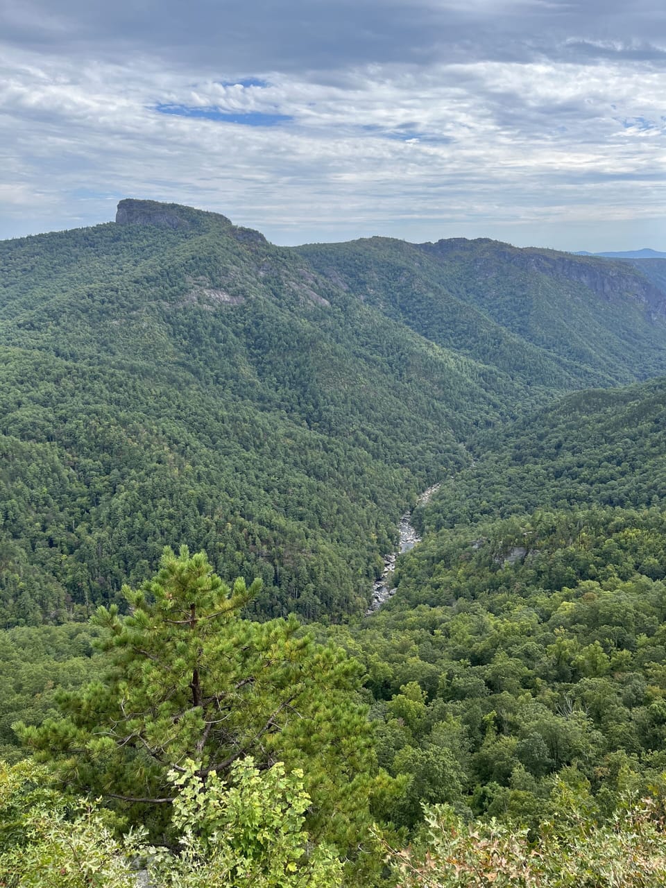 Linville Gorge.