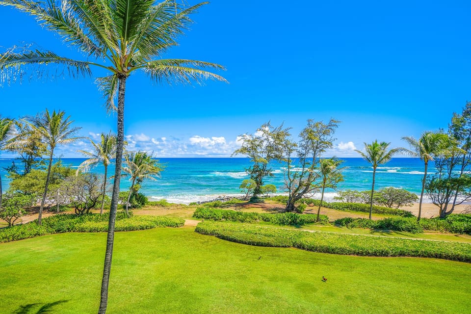 Oceanfront Views from Private Lanai, Coastal Path to Lydgate Bea