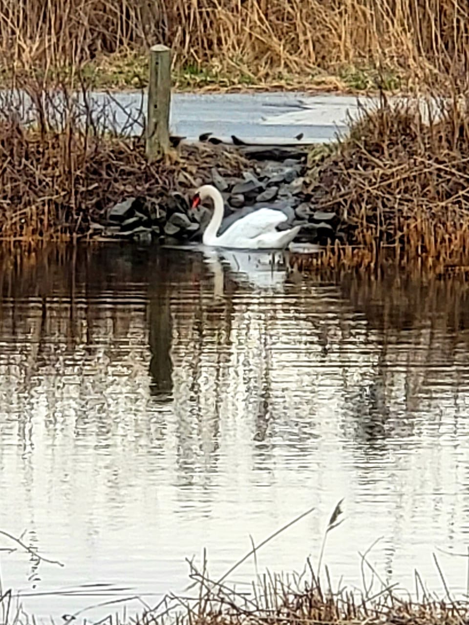 Lake