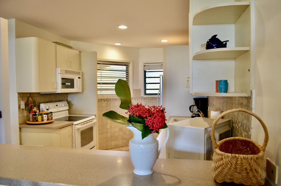Fully equipped kitchen