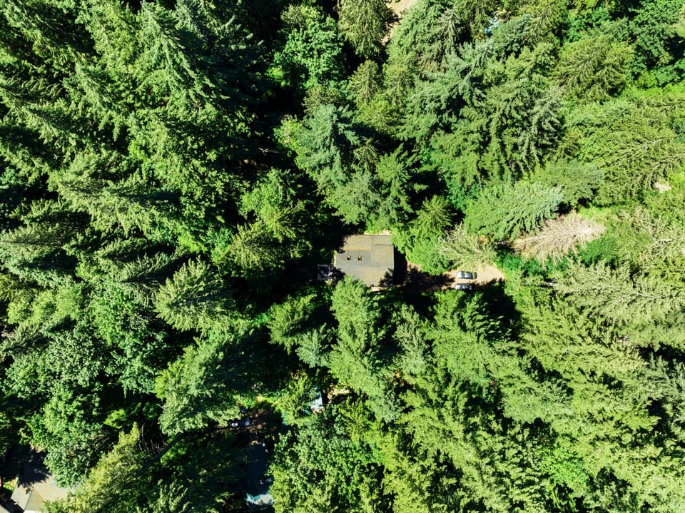Aerial shot of the Cascade Cabin