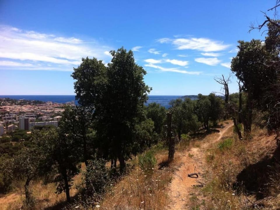 Surroundings [summer] (1-5 km)