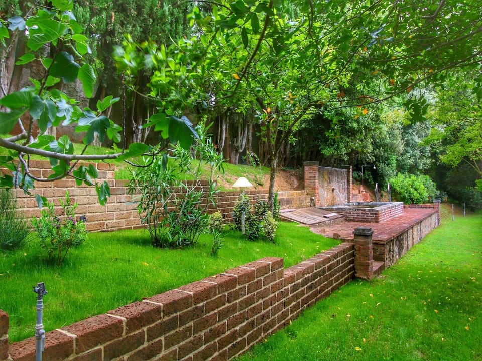 Garden [summer]