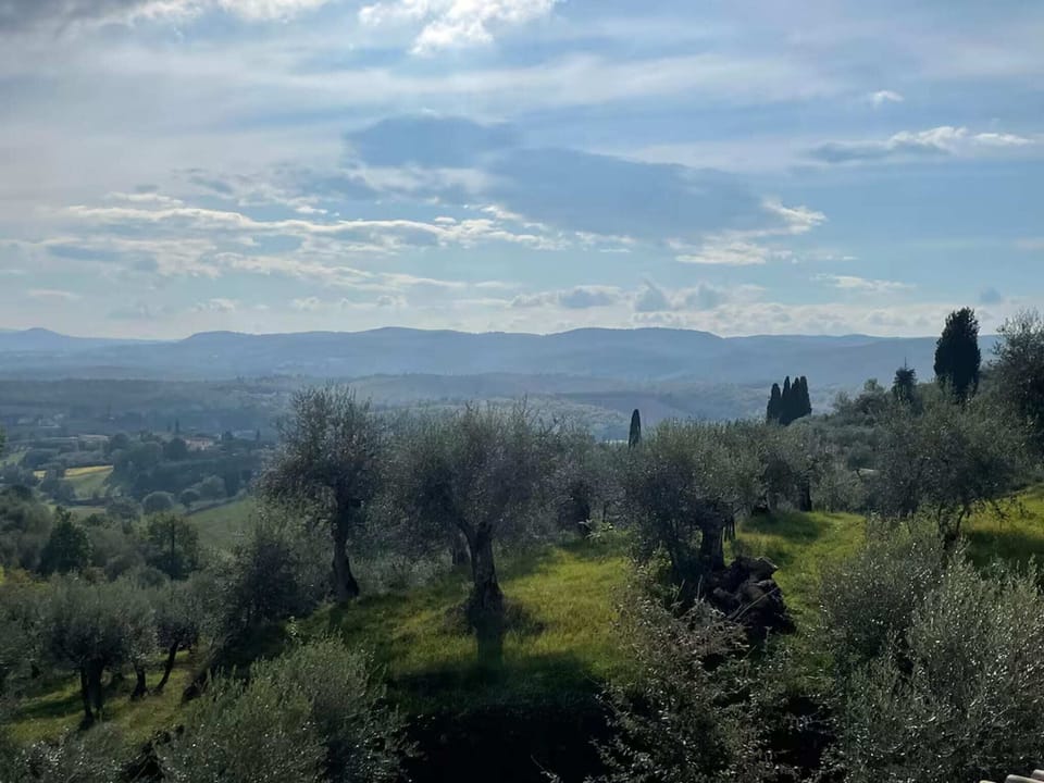 Region [summer] (>5 km)