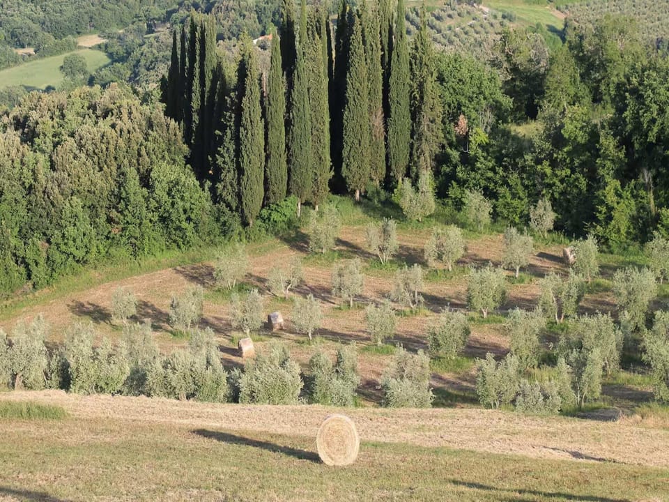 Region [summer] (>5 km)