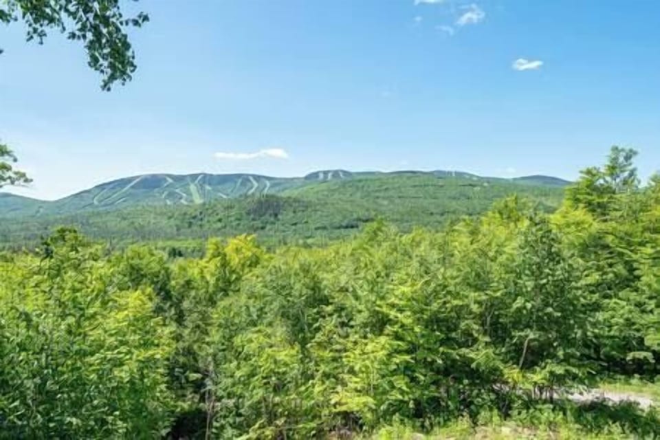 View off Deck