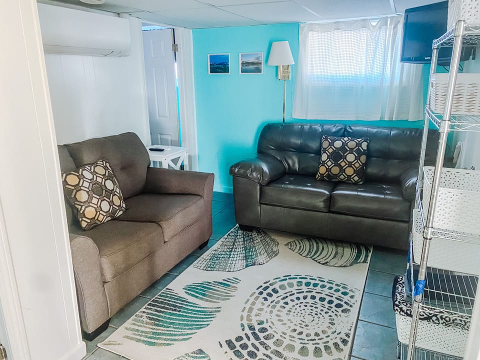 Living area, two loveseats, low ceilings 