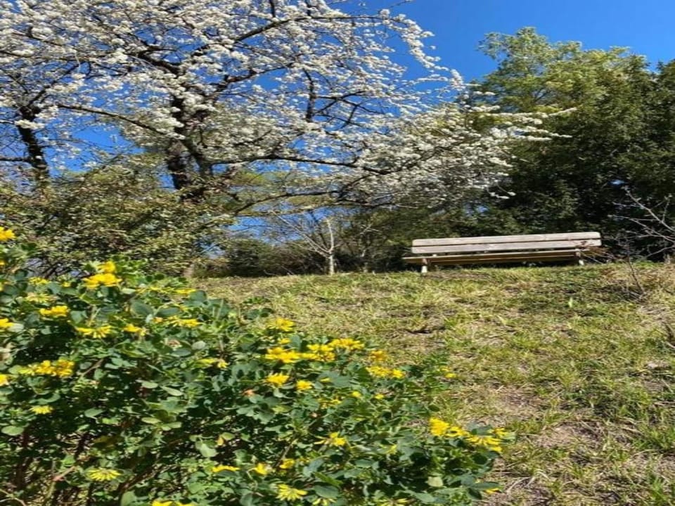 Region [summer] (>5 km)