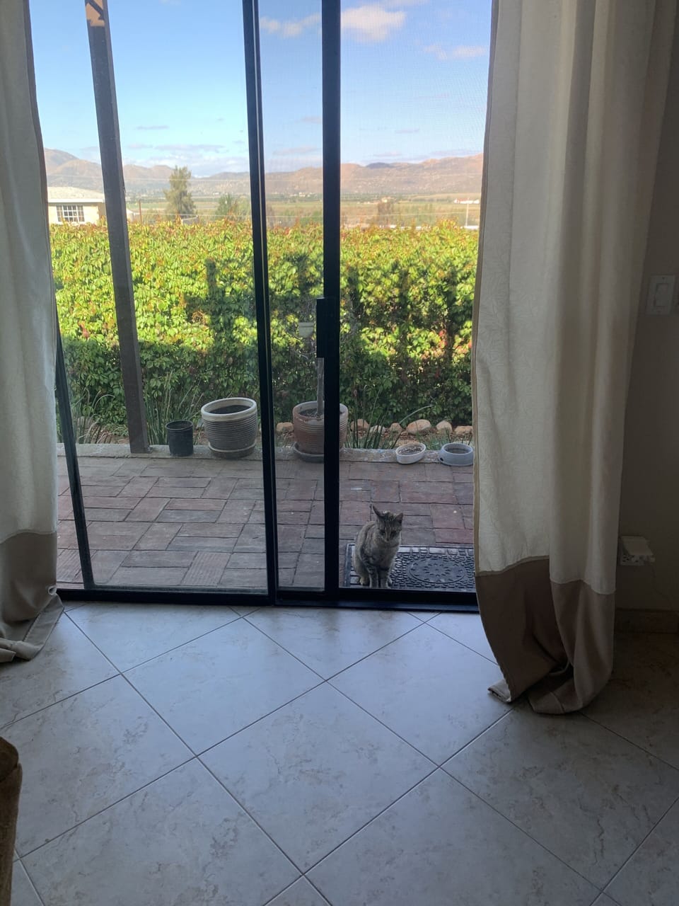 Exit sliding door to walk toward beautiful landscaped yard.