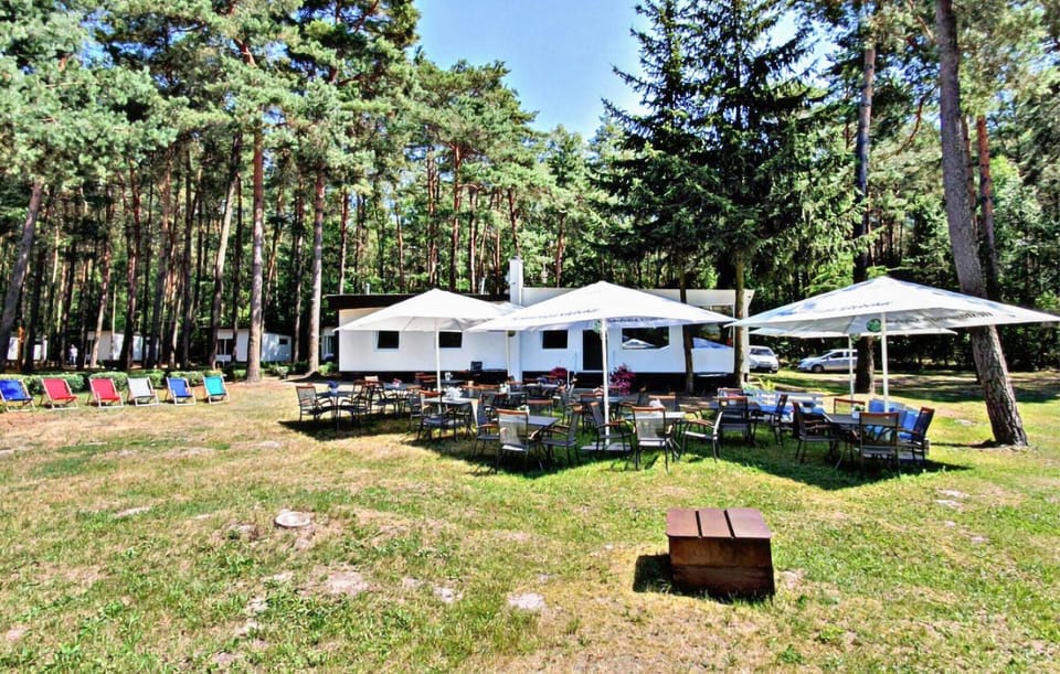 area