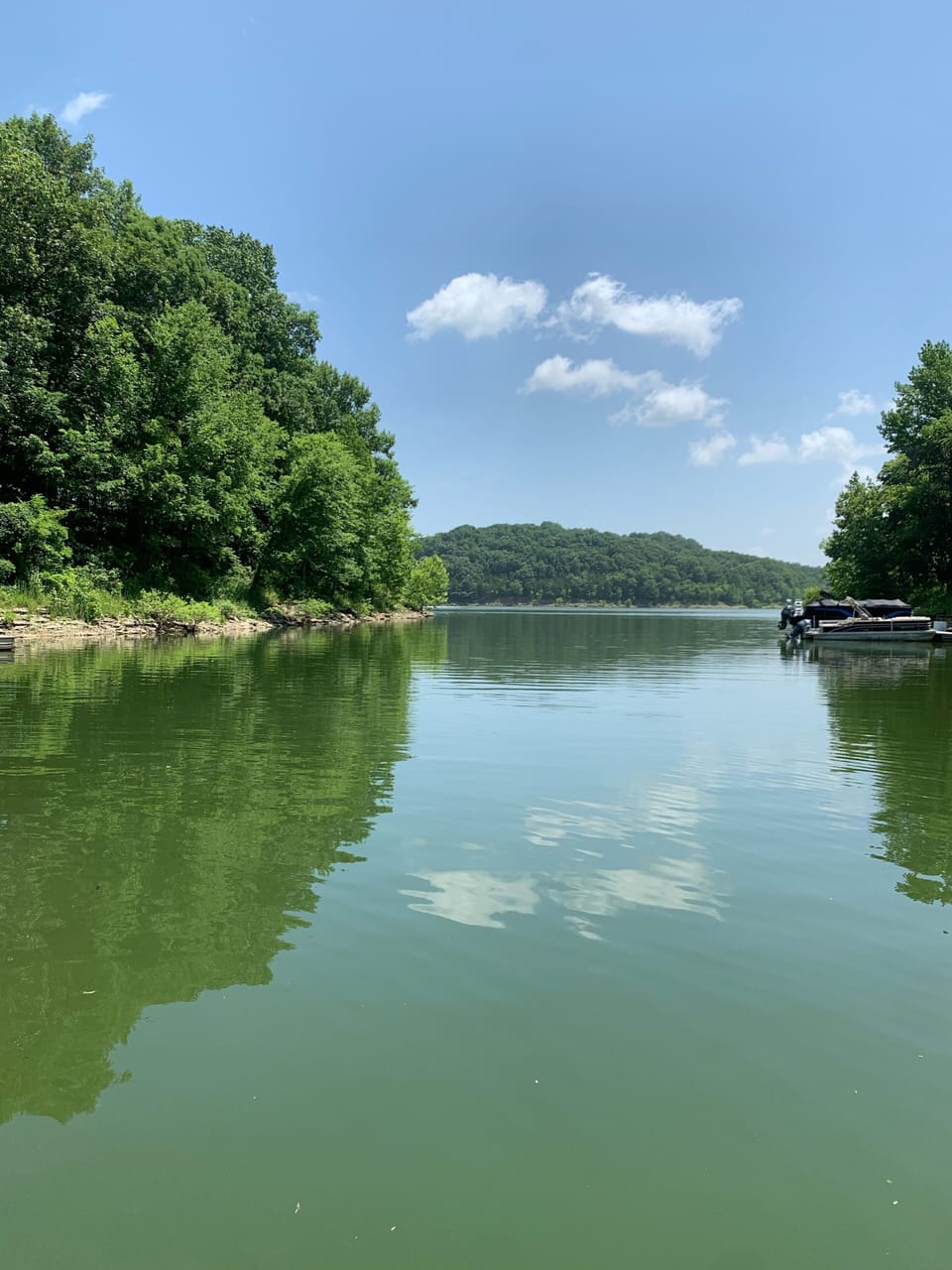 Lake access: Enjoy the cove with swimming, fishing, and a picnic. 