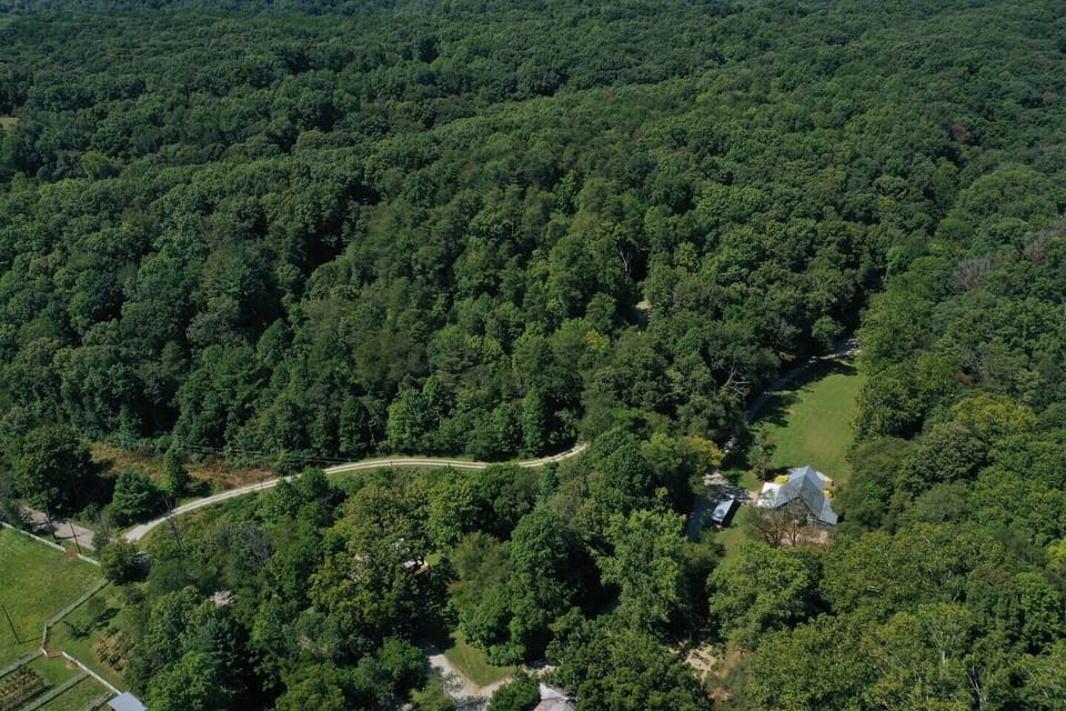 Driveway to Cabin with Story Below