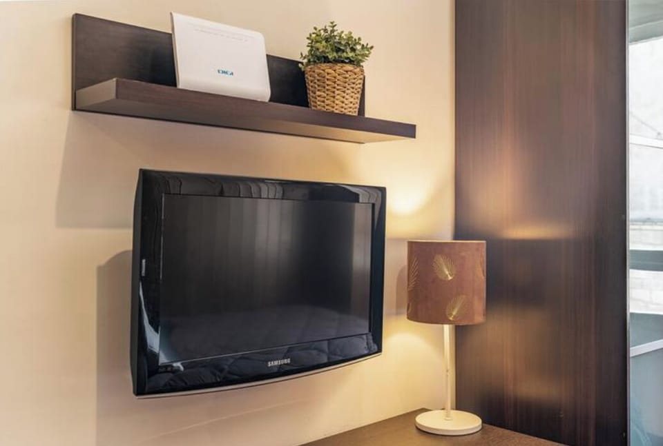Television