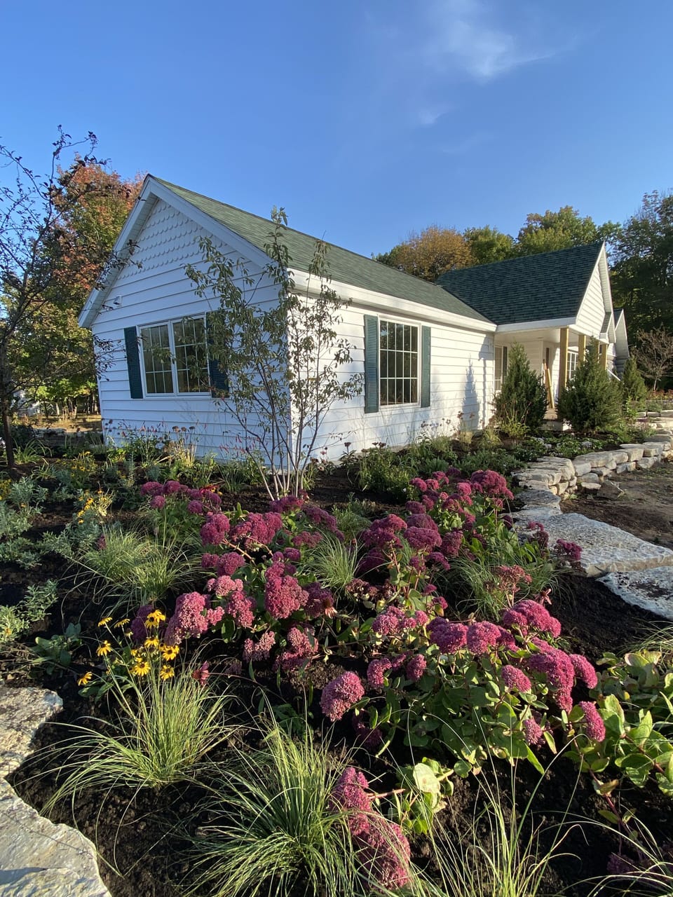 Newly-renovated home with the Sedums in bloom for the first time in Sept 2021!
