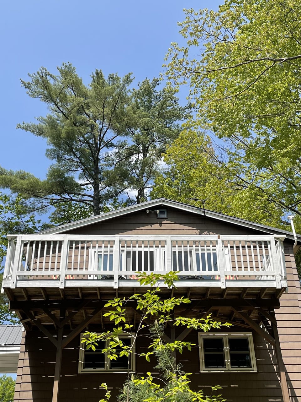 Back deck