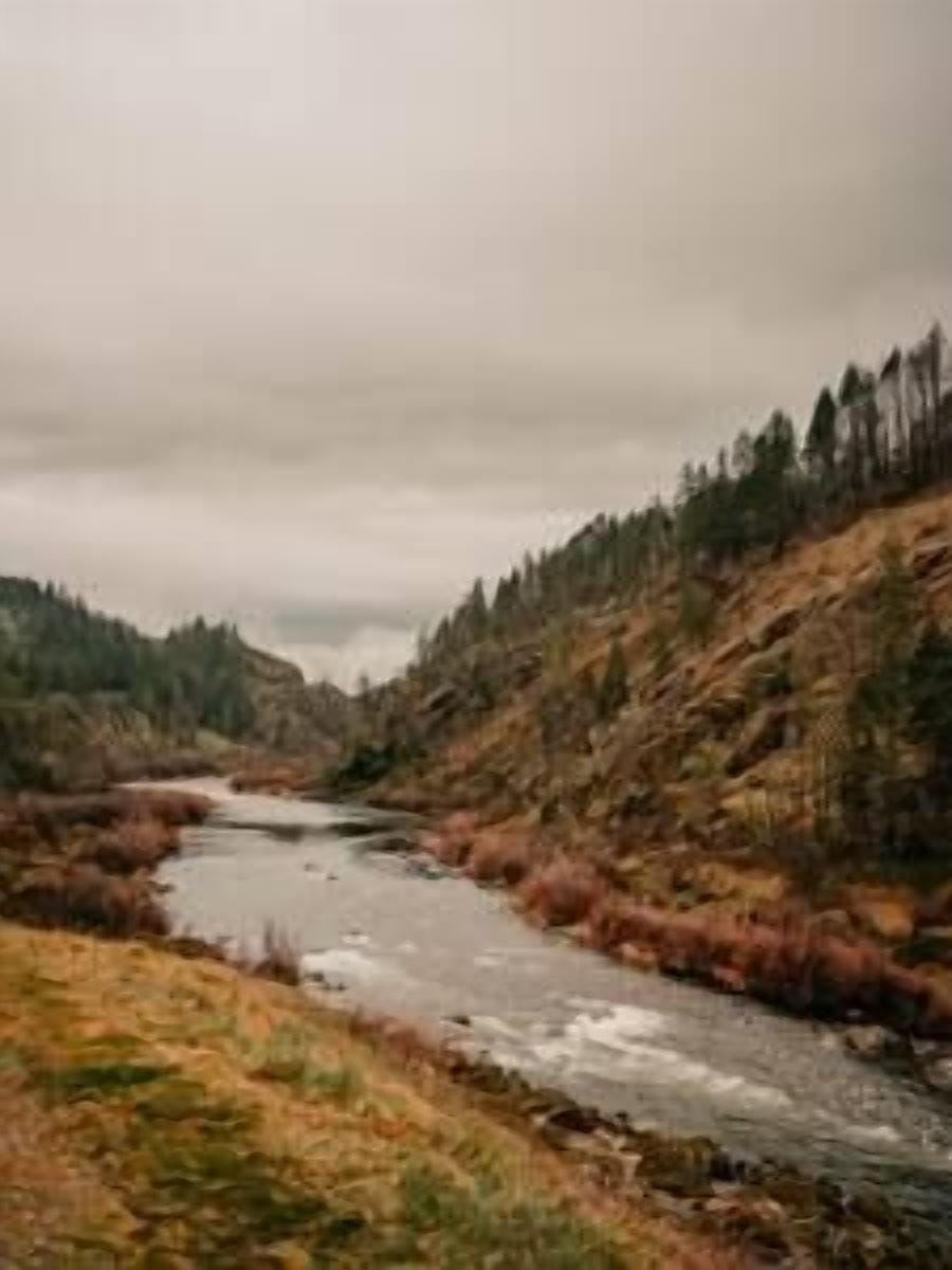 Rogue river just a few miles from the Tiny Cabin