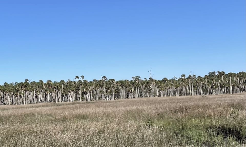 Beautiful Weeki Wachee area