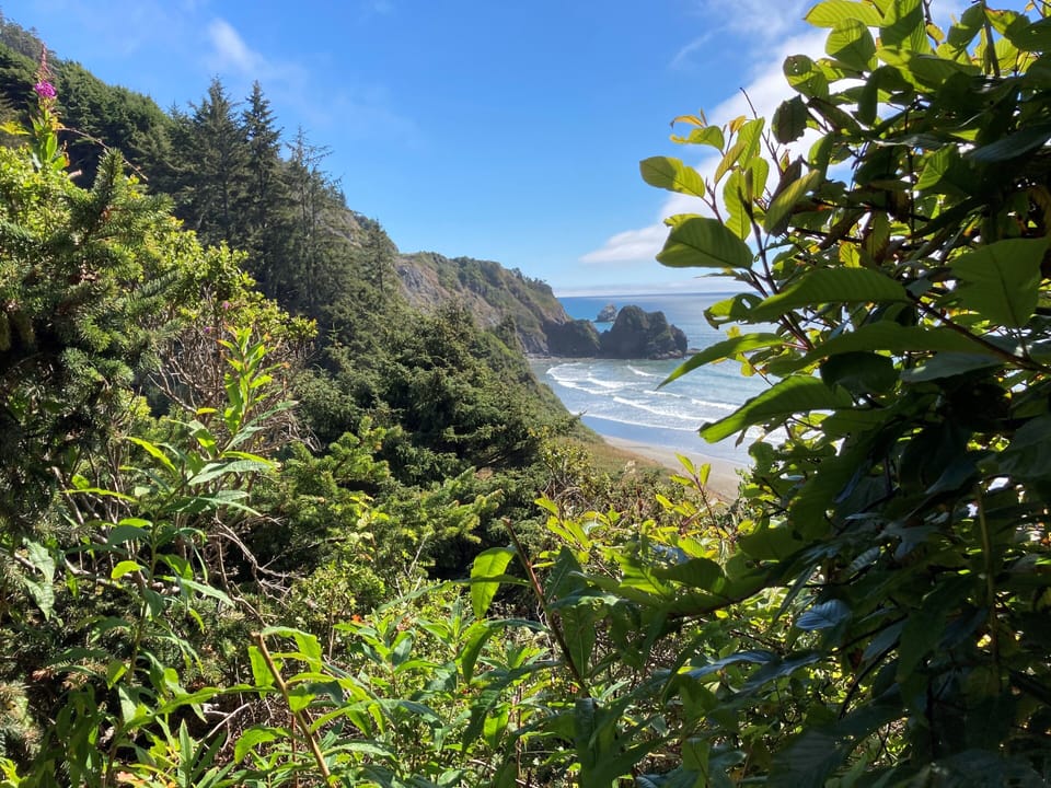 View from Enderts Beach trail 10 minute drive away!