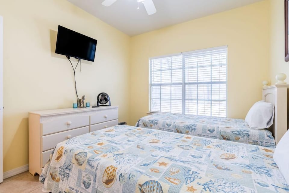 17 OBVSERENDIPITY BR3