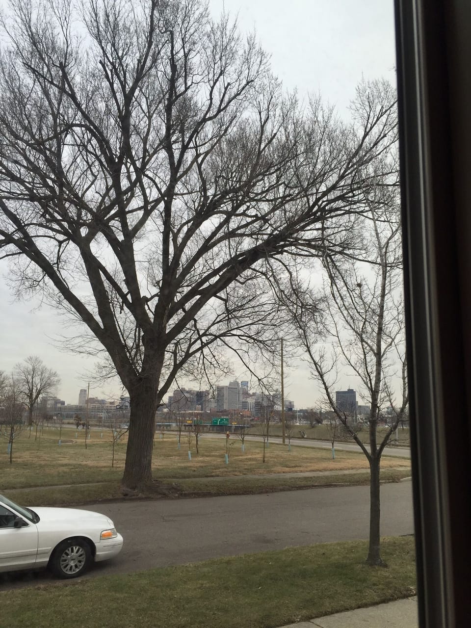 View from property