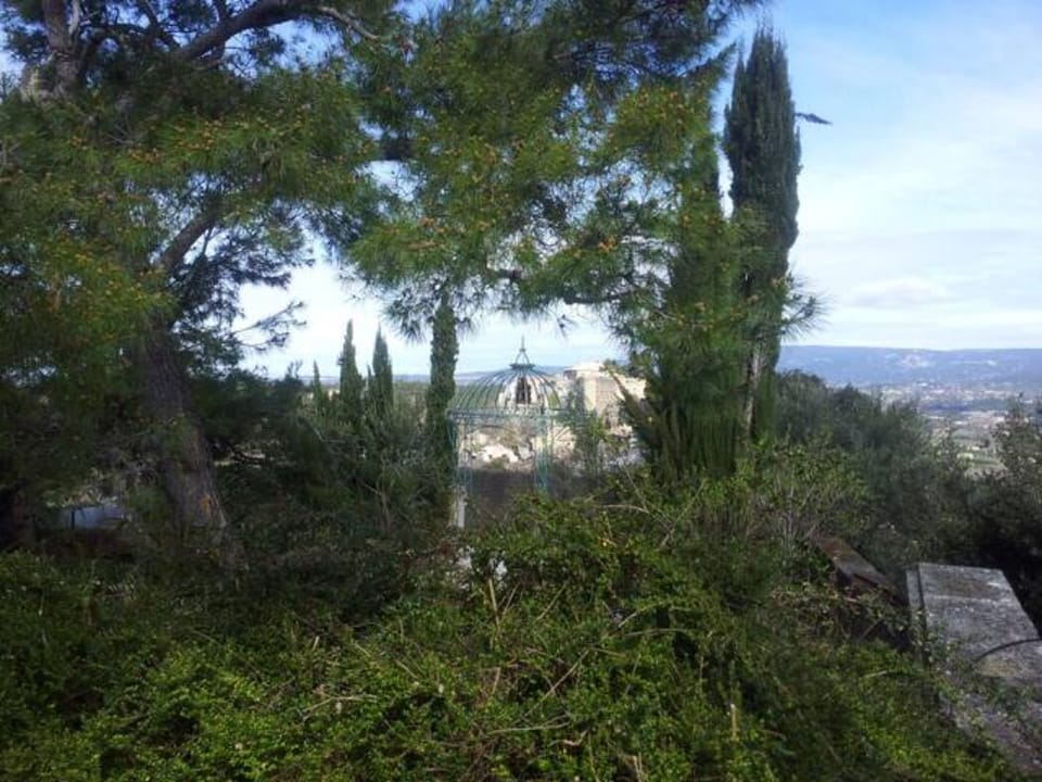 View from Front Terrace