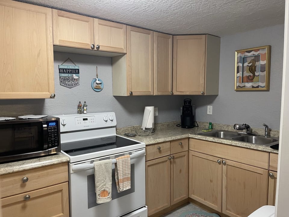 Full kitchen. Regular sized oven and fridge. 