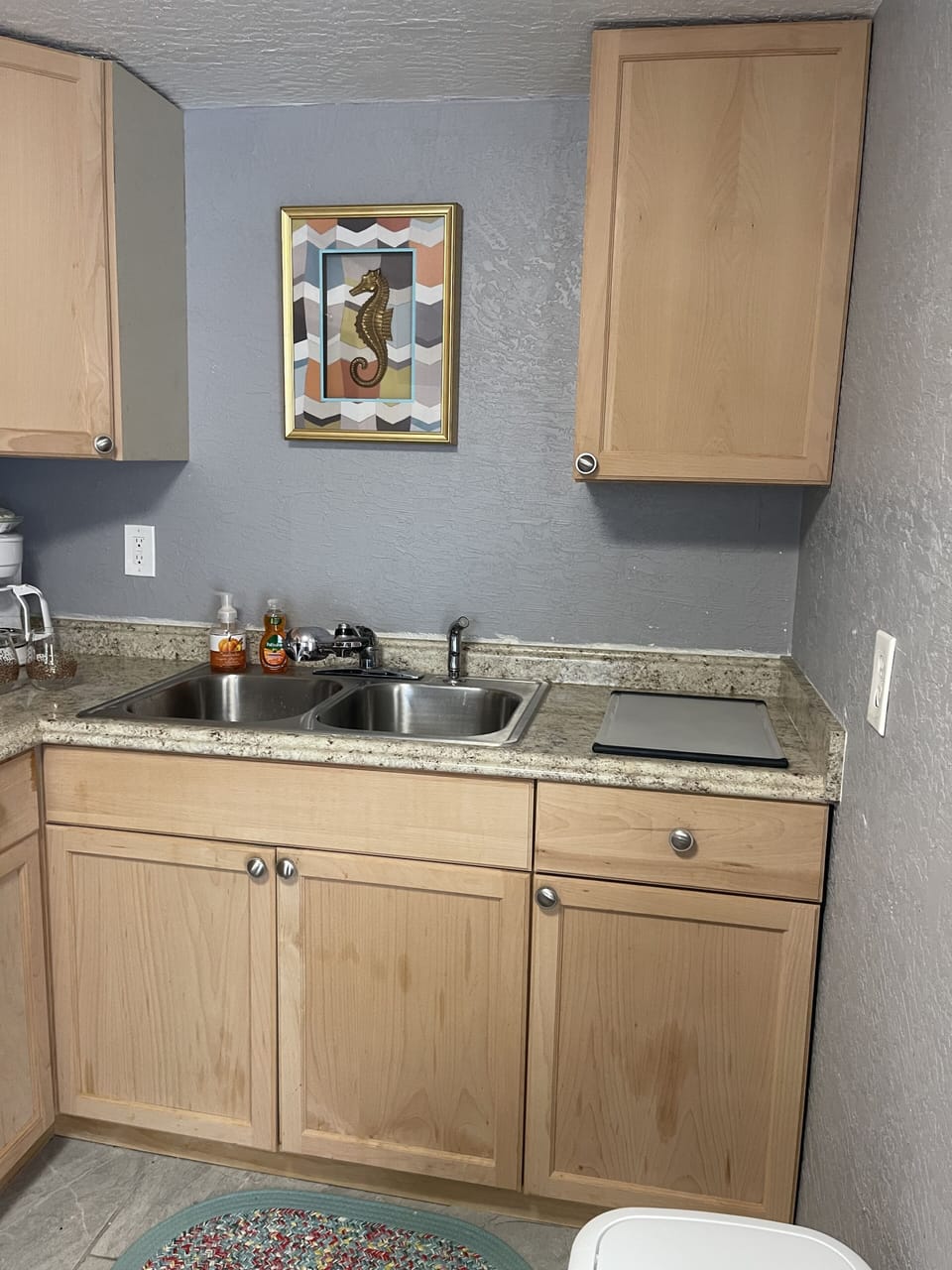 Complimentary dish soap and sponge.