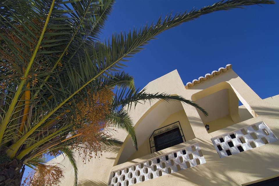 Villa Beatriz: Palm tree next to the villa