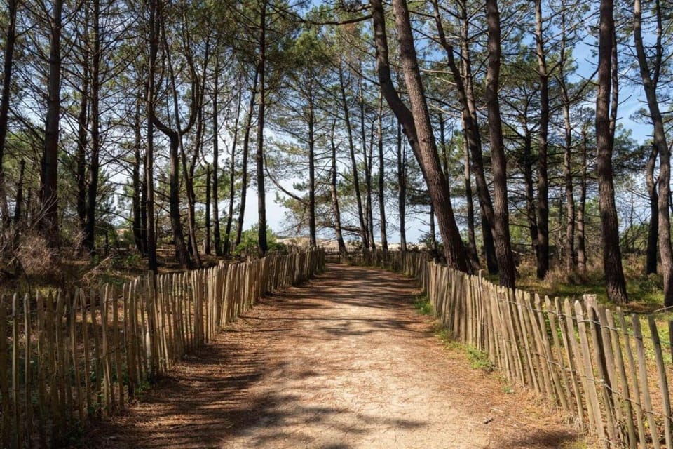 Surroundings [summer] (1-5 km)