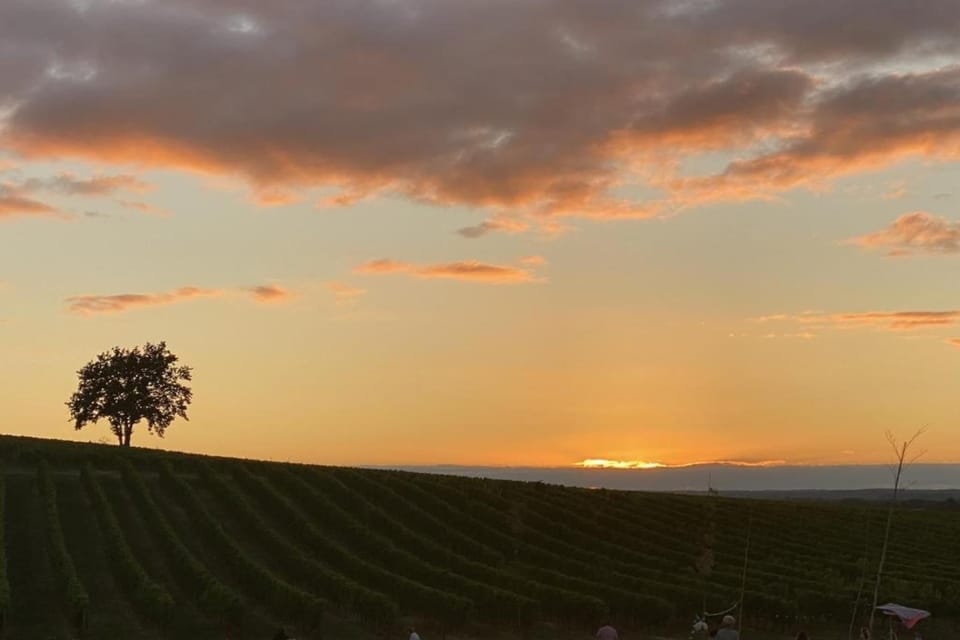 Region [summer] (>5 km)