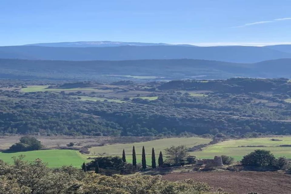 Region [summer] (>5 km)